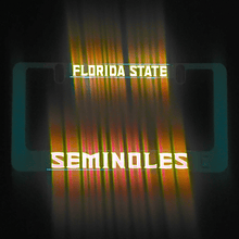 Load image into Gallery viewer, FSU-Florida-State-University-LumiSign-License-Plate-Frame-Main-Night-SWATCH
