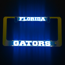 Load image into Gallery viewer, FLORIDA GATORS Inserts for LumiSign (Frame Not Included)
