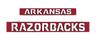 LumiSign insert with red ARKANSAS text and RAZORBACKS banner, white outline