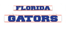 Florida Gators LumiSign insert with blue GATORS block lettering