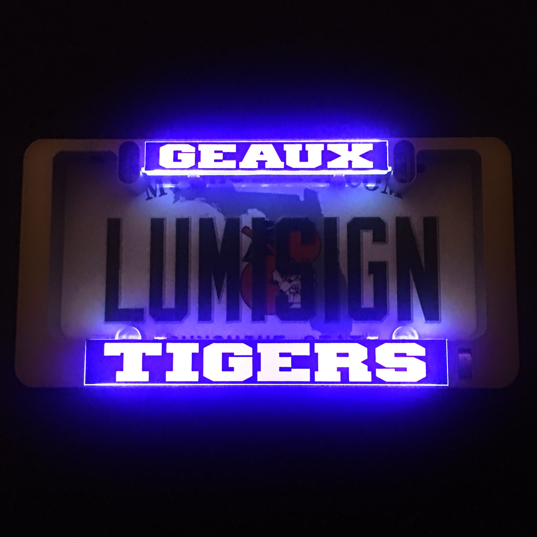 Illuminated insert reading &