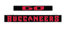Buccaneers LumiSign insert panel with red and black lettering