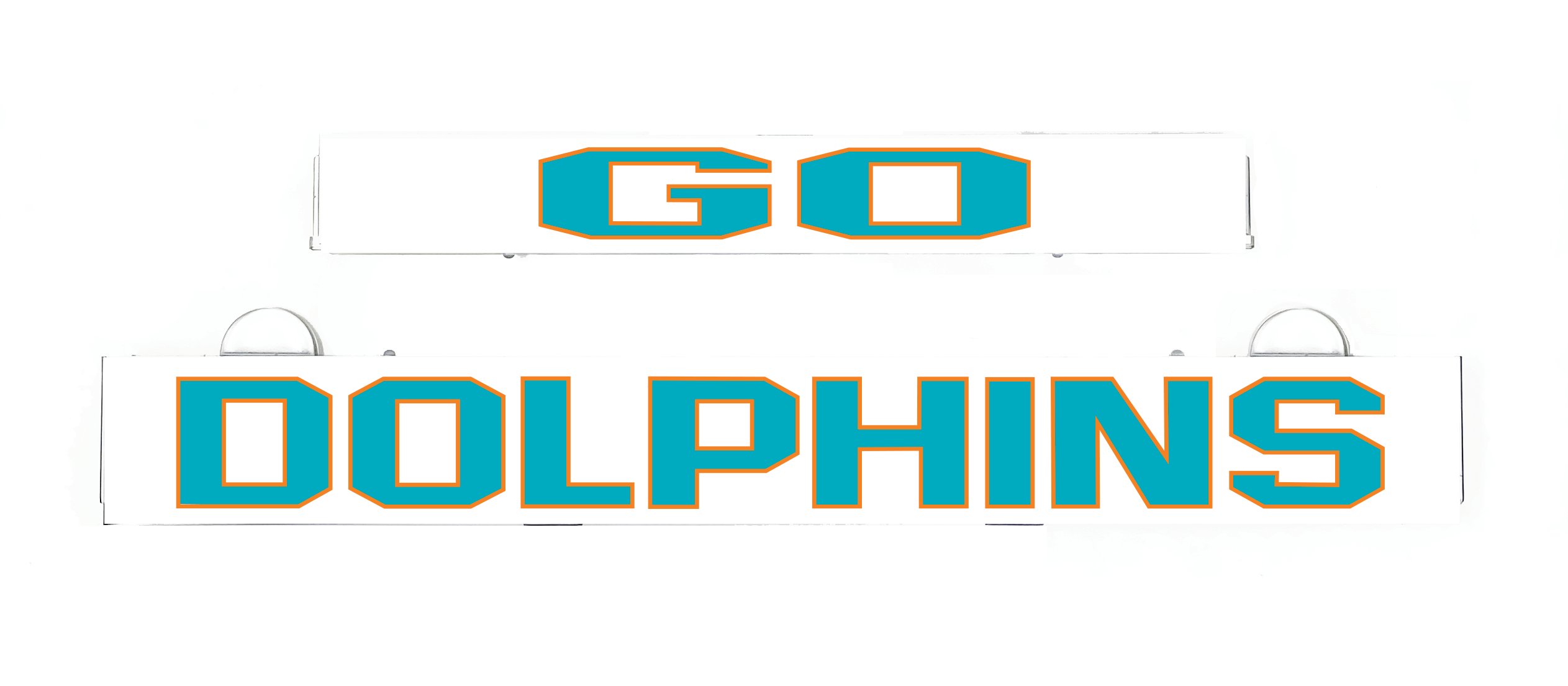 GO DOLPHINS LumiSign insert with blue and white letter design