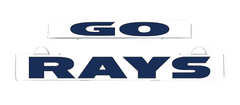 LumiSign GO RAYS insert panel with GO and RAYS branding