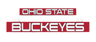 Ohio State Buckeyes LumiSign insert: Ohio State and Buckeyes logos in red, white, blue