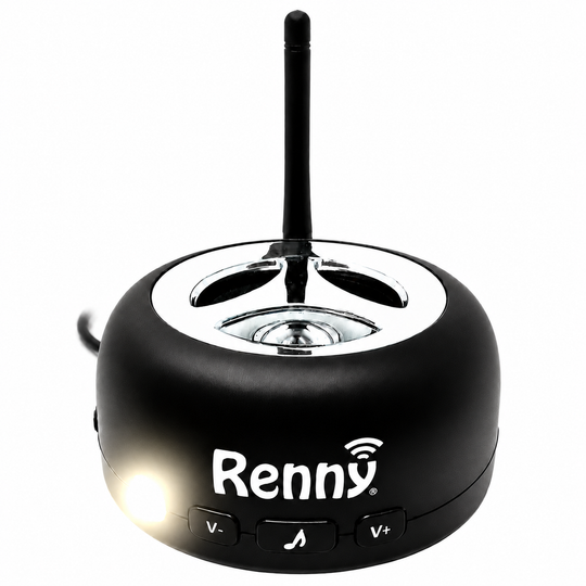 RENNY RINGER