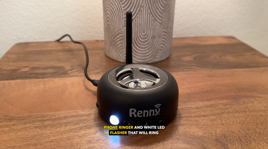 RENNY RINGER