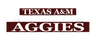 TEXAS A&M and AGGIES LumiSign insert panels, maroon and white