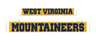 LumiSign inserts: West Virginia and Mountaineers blue-and-yellow logo panels